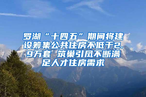 罗湖“十四五”期间将建设筹集公共住房不低于2.9万套 筑巢引凤不断满足人才住房需求