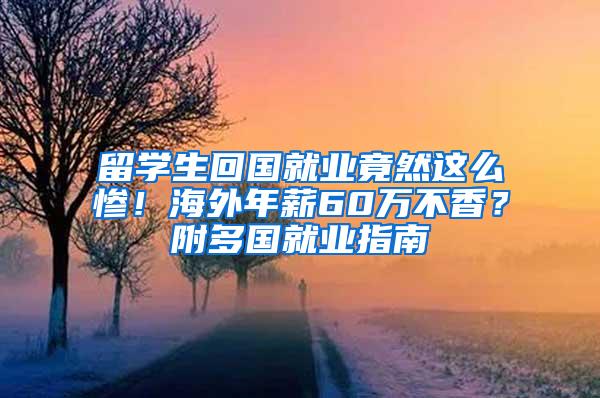 留学生回国就业竟然这么惨！海外年薪60万不香？附多国就业指南