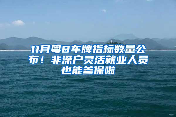 11月粤B车牌指标数量公布！非深户灵活就业人员也能参保啦