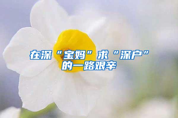 在深“宝妈”求“深户”的一路艰辛