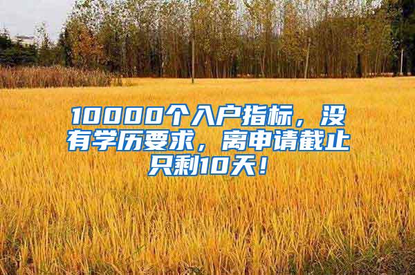 10000个入户指标，没有学历要求，离申请截止只剩10天！