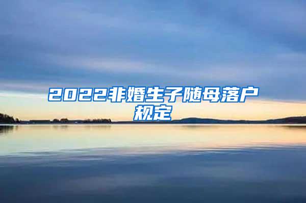 2022非婚生子随母落户规定