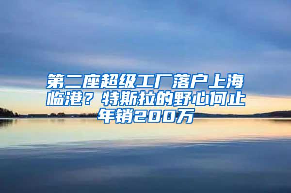 第二座超级工厂落户上海临港？特斯拉的野心何止年销200万