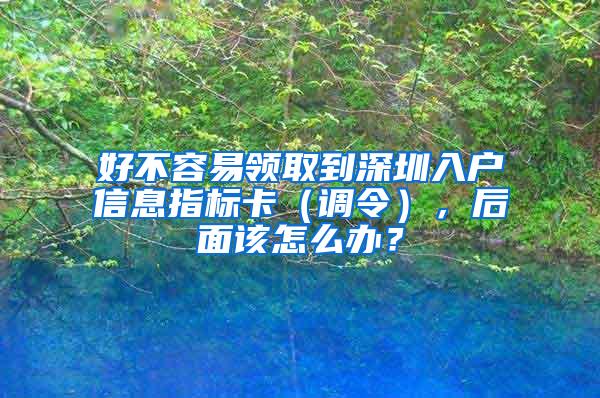 好不容易领取到深圳入户信息指标卡（调令），后面该怎么办？