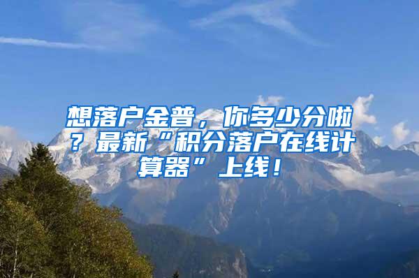 想落户金普，你多少分啦？最新“积分落户在线计算器”上线！