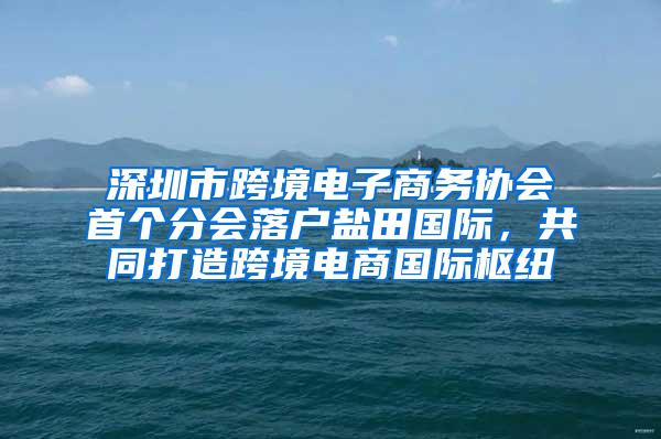 深圳市跨境电子商务协会首个分会落户盐田国际，共同打造跨境电商国际枢纽