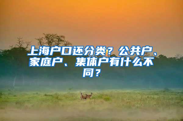 上海户口还分类？公共户、家庭户、集体户有什么不同？