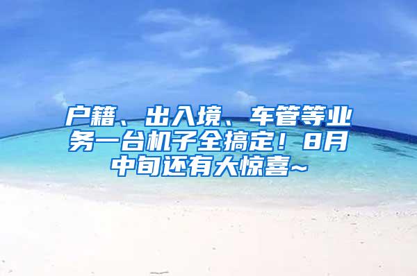 户籍、出入境、车管等业务一台机子全搞定！8月中旬还有大惊喜~