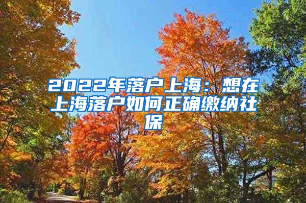 2022年落户上海：想在上海落户如何正确缴纳社保