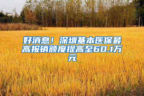 好消息！深圳基本医保最高报销额度提高至60.1万元