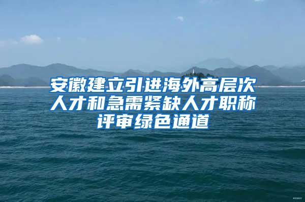 安徽建立引进海外高层次人才和急需紧缺人才职称评审绿色通道