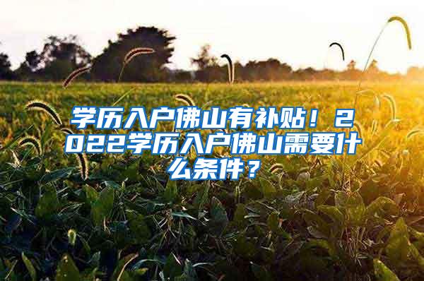 学历入户佛山有补贴！2022学历入户佛山需要什么条件？