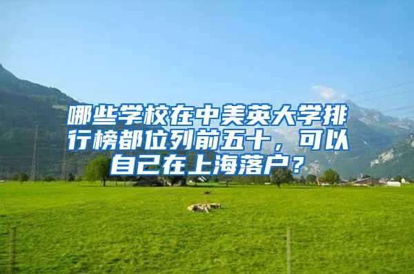 哪些学校在中美英大学排行榜都位列前五十，可以自己在上海落户？