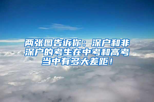 两张图告诉你：深户和非深户的考生在中考和高考当中有多大差距！