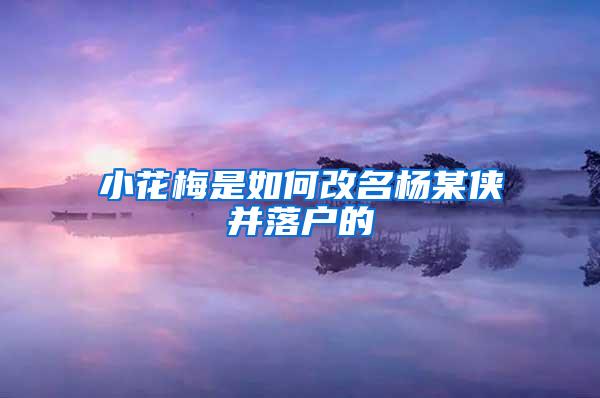 小花梅是如何改名杨某侠并落户的