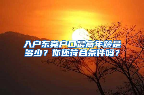 入户东莞户口最高年龄是多少？你还符合条件吗？