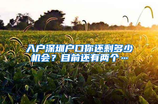 入户深圳户口你还剩多少机会？目前还有两个…