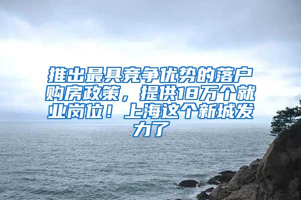 推出最具竞争优势的落户购房政策，提供18万个就业岗位！上海这个新城发力了