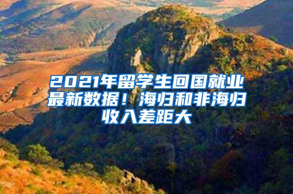 2021年留学生回国就业最新数据！海归和非海归收入差距大