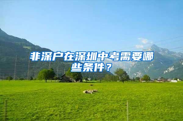 非深户在深圳中考需要哪些条件？