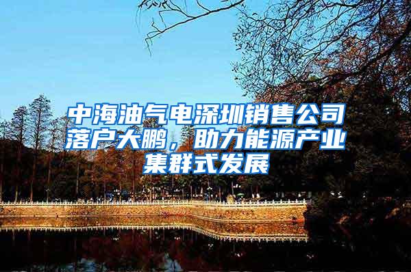 中海油气电深圳销售公司落户大鹏，助力能源产业集群式发展