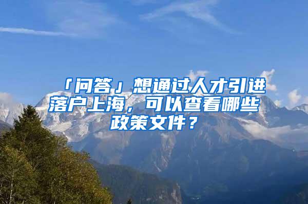 「问答」想通过人才引进落户上海，可以查看哪些政策文件？