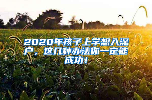 2020年孩子上学想入深户，这几种办法你一定能成功！