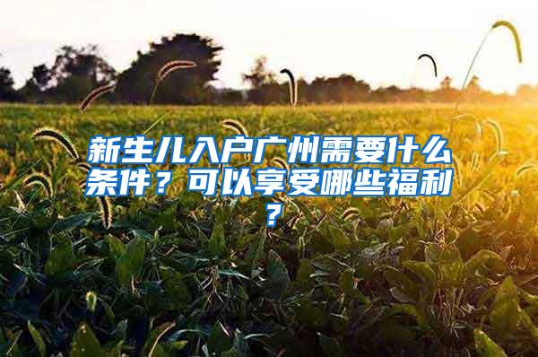 新生儿入户广州需要什么条件？可以享受哪些福利？