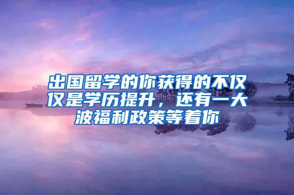 出国留学的你获得的不仅仅是学历提升，还有一大波福利政策等着你