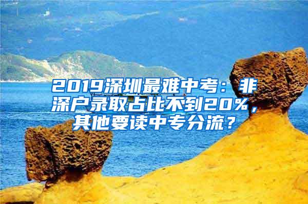 2019深圳最难中考：非深户录取占比不到20%，其他要读中专分流？