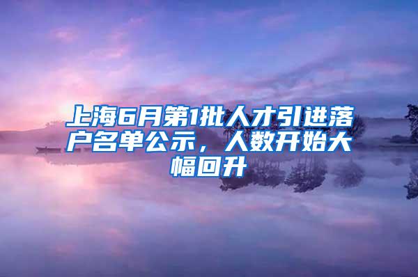 上海6月第1批人才引进落户名单公示，人数开始大幅回升