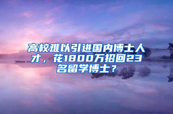 高校难以引进国内博士人才，花1800万招回23名留学博士？