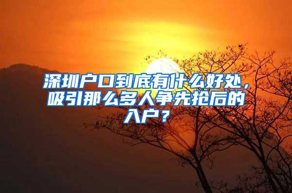 深圳户口到底有什么好处，吸引那么多人争先抢后的入户？