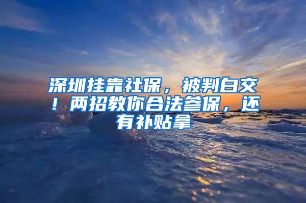 深圳挂靠社保，被判白交！两招教你合法参保，还有补贴拿