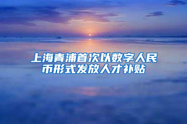 上海青浦首次以数字人民币形式发放人才补贴