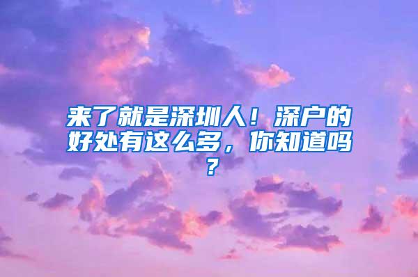 来了就是深圳人！深户的好处有这么多，你知道吗？