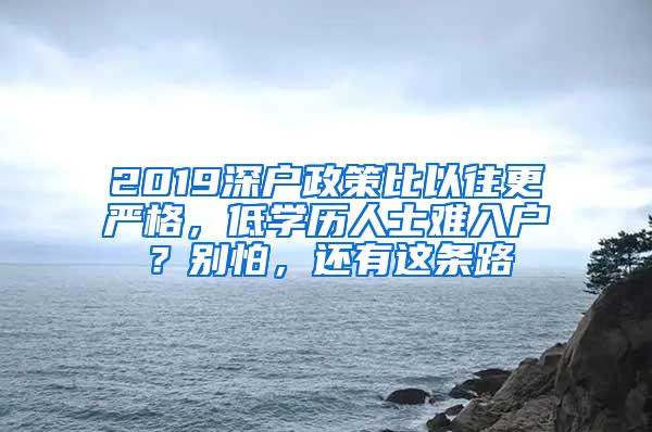 2019深户政策比以往更严格，低学历人士难入户？别怕，还有这条路