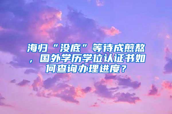 海归“没底”等待成煎熬，国外学历学位认证书如何查询办理进度？