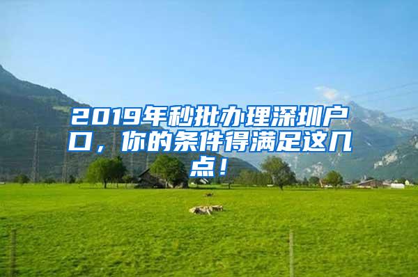 2019年秒批办理深圳户口，你的条件得满足这几点！