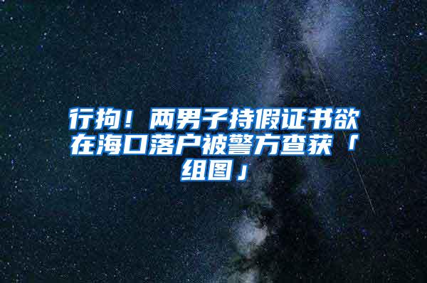 行拘！两男子持假证书欲在海口落户被警方查获「组图」