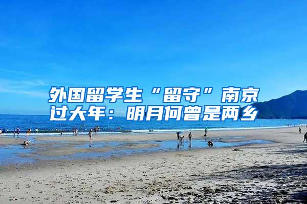 外国留学生“留守”南京过大年：明月何曾是两乡