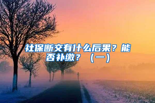 社保断交有什么后果？能否补缴？（一）