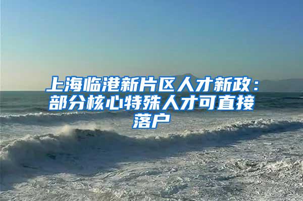 上海临港新片区人才新政：部分核心特殊人才可直接落户