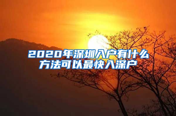 2020年深圳入户有什么方法可以最快入深户