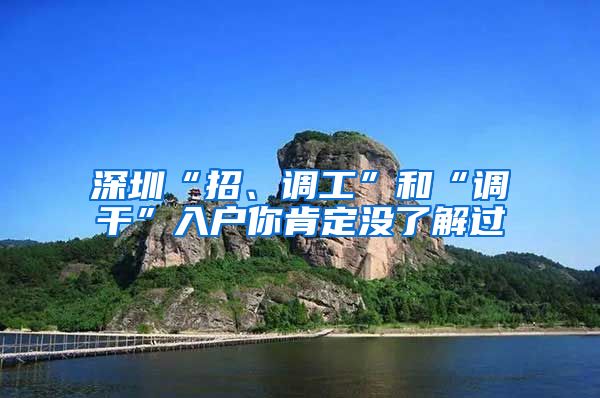 深圳“招、调工”和“调干”入户你肯定没了解过