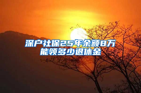 深户社保25年余额8万能领多少退休金