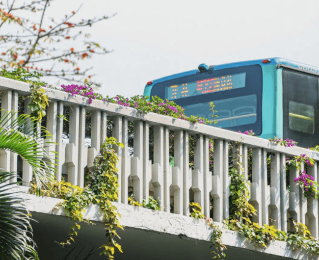 深圳居住证续签办理指南（附办理入口）