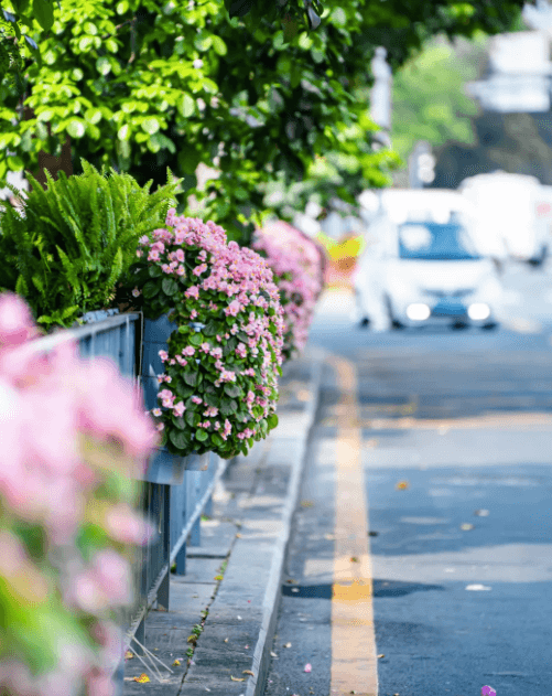 深圳居住证签注