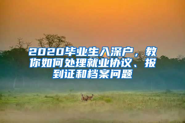 2020毕业生入深户，教你如何处理就业协议、报到证和档案问题