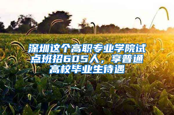 深圳这个高职专业学院试点班招605人，享普通高校毕业生待遇